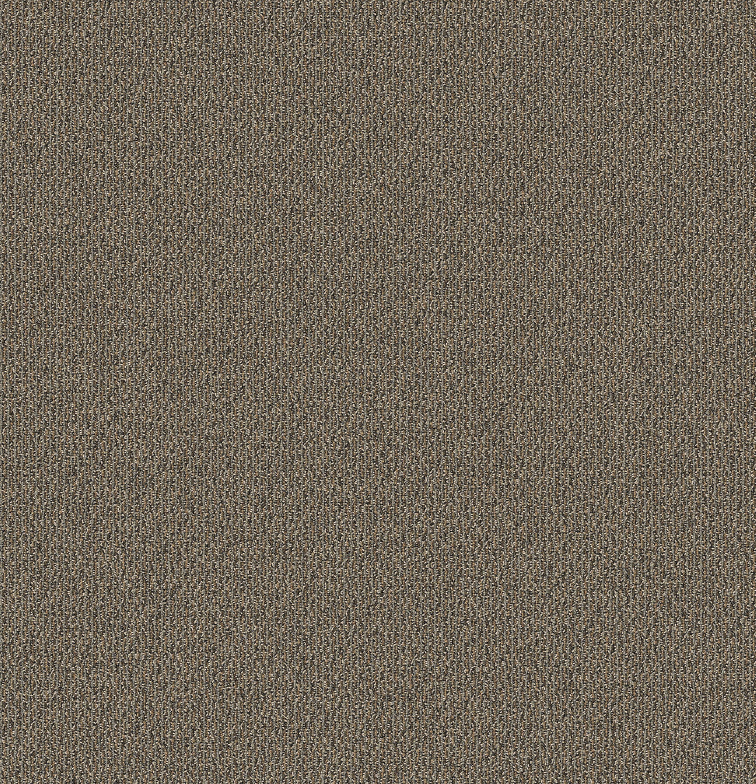 2b181-831-variant-room-scene