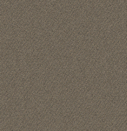 2b181-831-variant-room-scene
