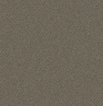 2b181-848-variant-room-scene