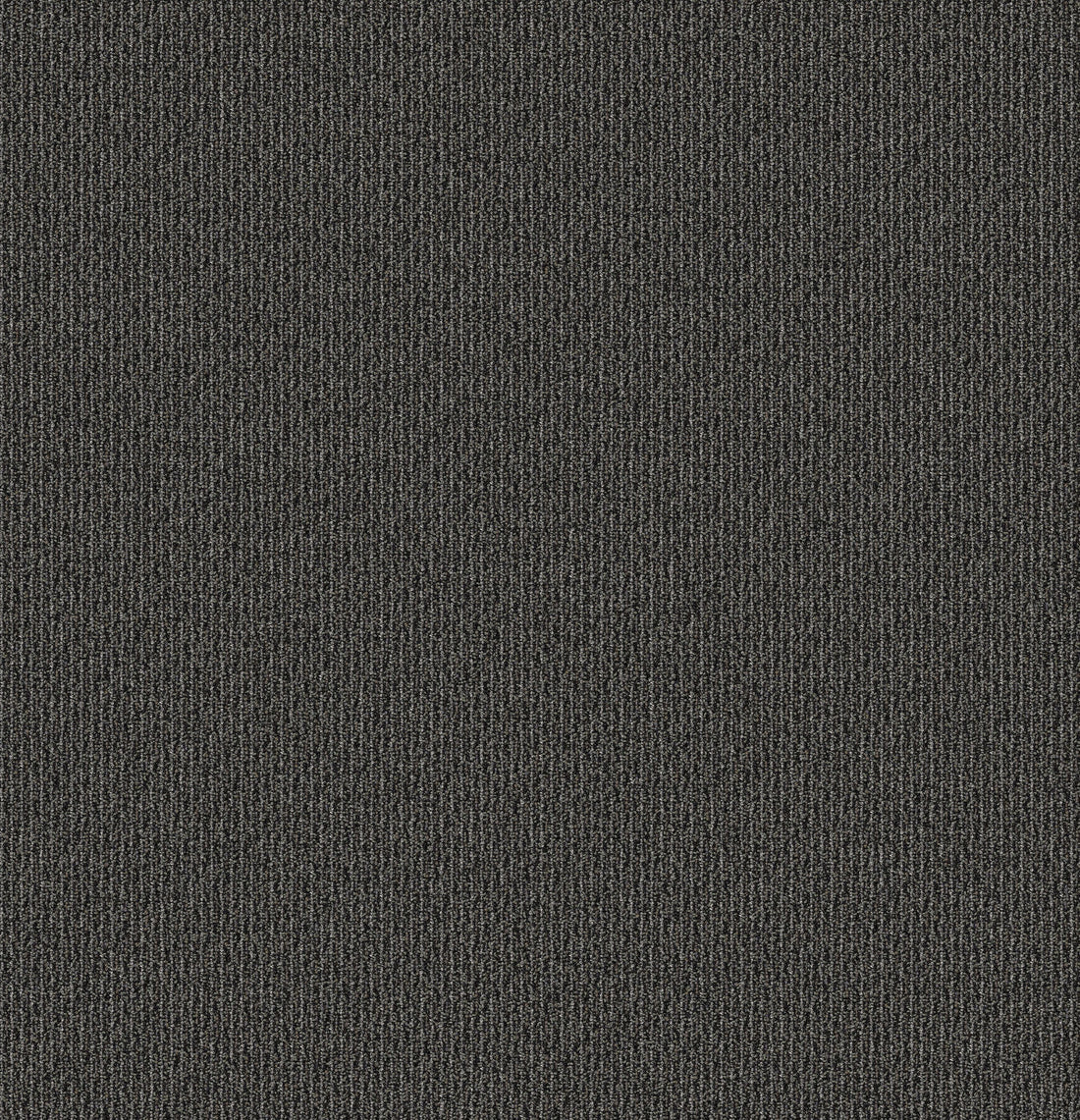 2b181-989-variant-room-scene