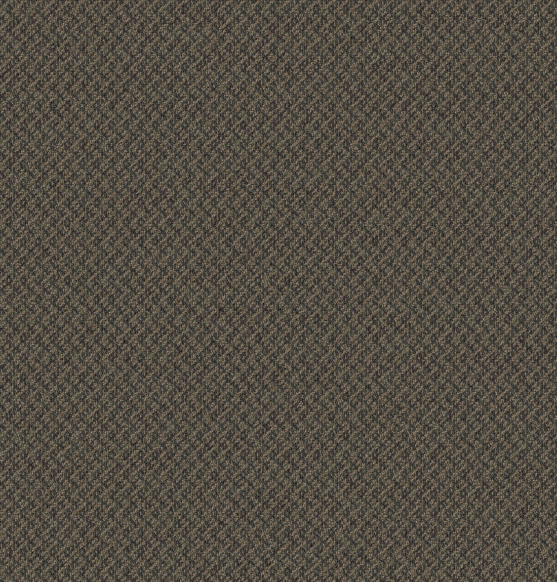 2b125-859-variant-room-scene