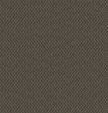 2b125-859-variant-room-scene