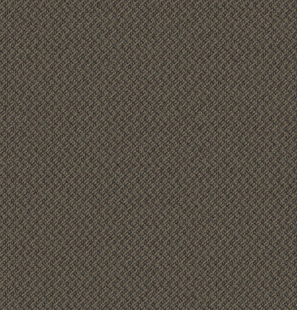 2b125-859-variant-room-scene