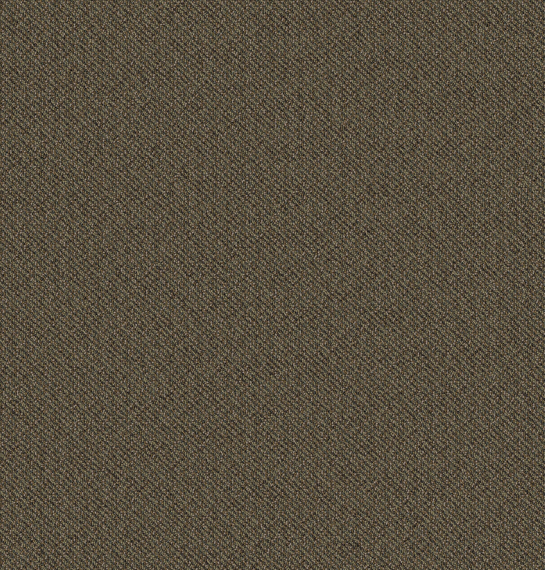 2b125-862-variant-room-scene