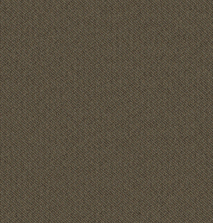 2b125-862-variant-room-scene