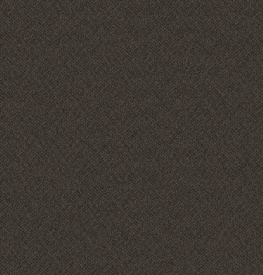 2b125-883-variant-room-scene
