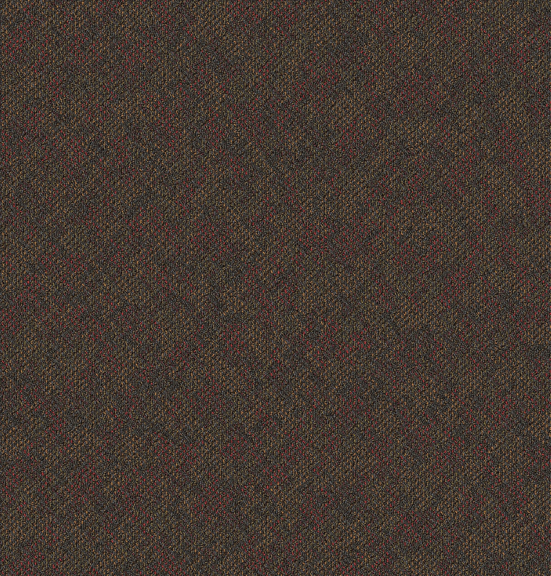 2b125-884-variant-room-scene