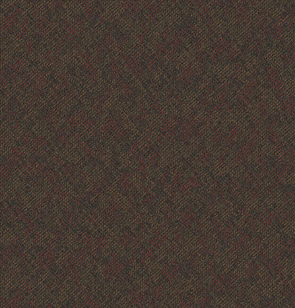 2b125-884-variant-room-scene