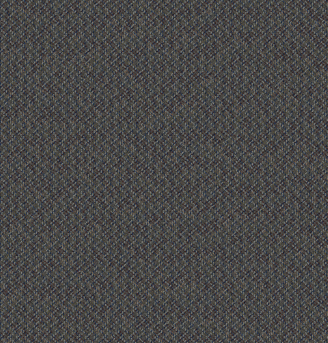 2b125-955-variant-room-scene