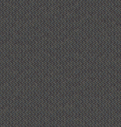 2b125-955-variant-room-scene