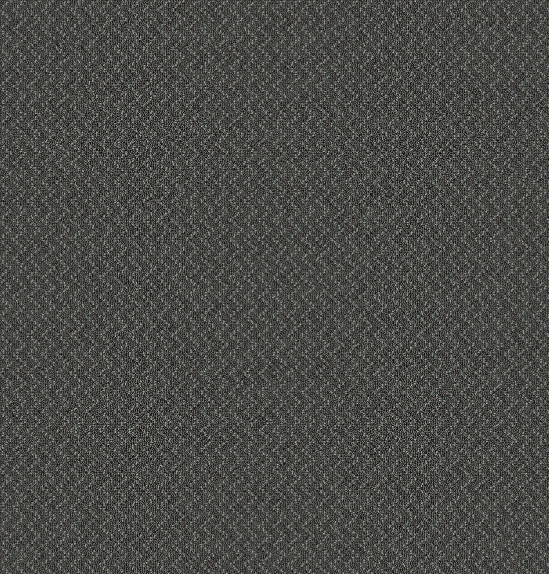 2b125-983-variant-room-scene