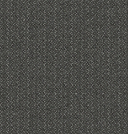2b125-983-variant-room-scene