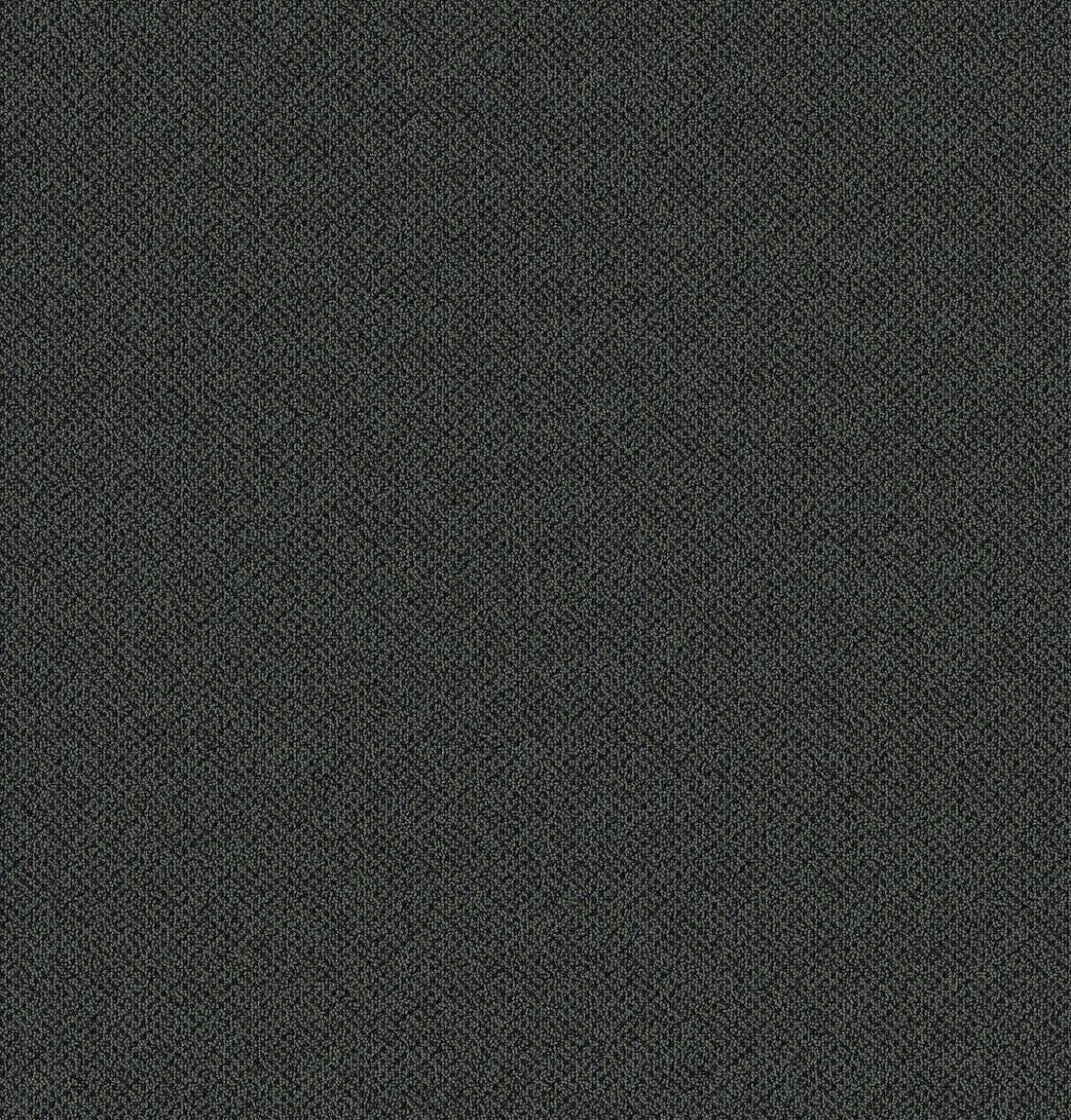 2b125-999-variant-room-scene