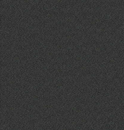 2b125-999-variant-room-scene