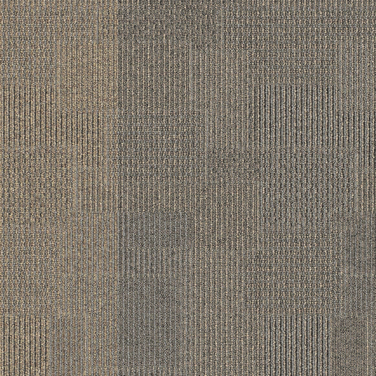 2b137-727-variant-room-scene