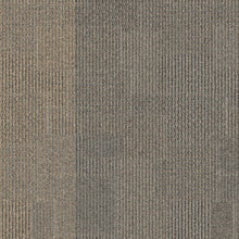2b137-727-variant-room-scene