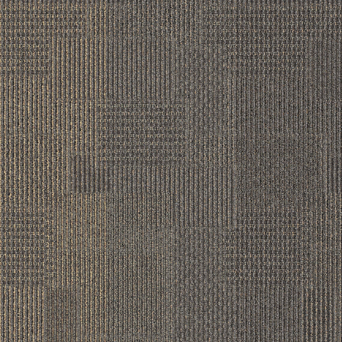 2b137-959-variant-room-scene