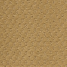 2b204-161-variant-room-scene