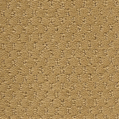 2b204-161-variant-room-scene