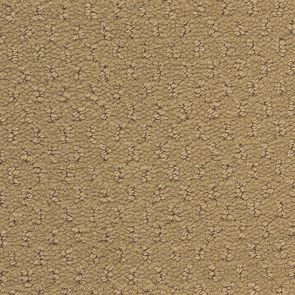 2b204-168-variant-room-scene