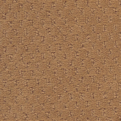 2b204-258-variant-room-scene