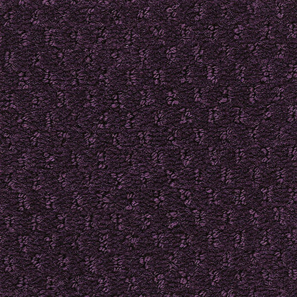 2b204-494-variant-room-scene