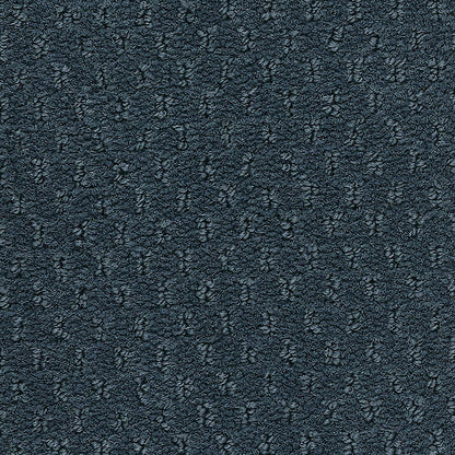2b204-545-variant-room-scene