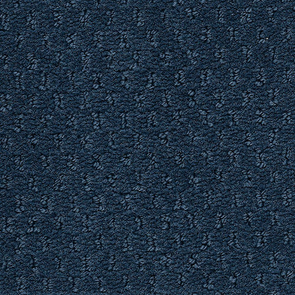 2b204-575-variant-room-scene