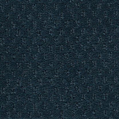 2b204-589-variant-room-scene