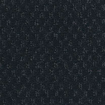 2b204-595-variant-room-scene