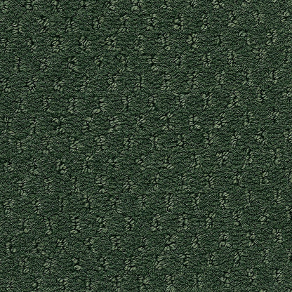 2b204-676-variant-room-scene