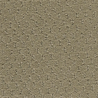 2b204-829-variant-room-scene
