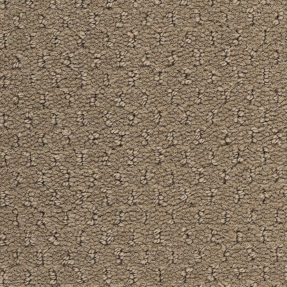 2b204-858-variant-room-scene