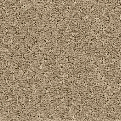 2b204-861-variant-room-scene