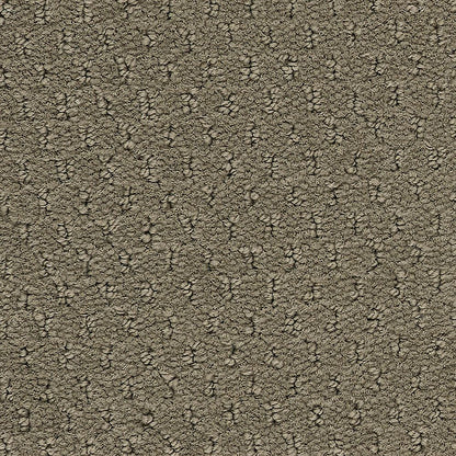 2b204-868-variant-room-scene