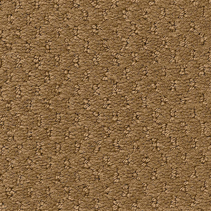 2b204-871-variant-room-scene