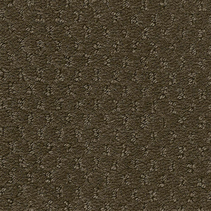 2b204-878-variant-room-scene