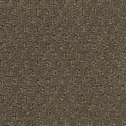 2b204-879-variant-room-scene