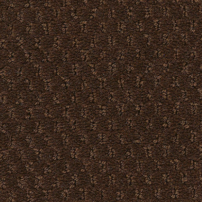 2b204-888-variant-room-scene