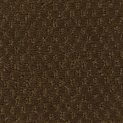 2b204-891-variant-room-scene