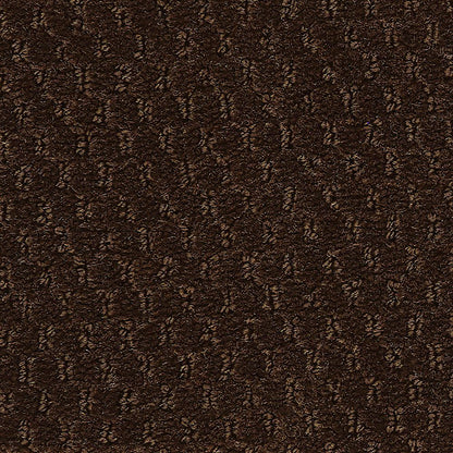 2b204-898-variant-room-scene