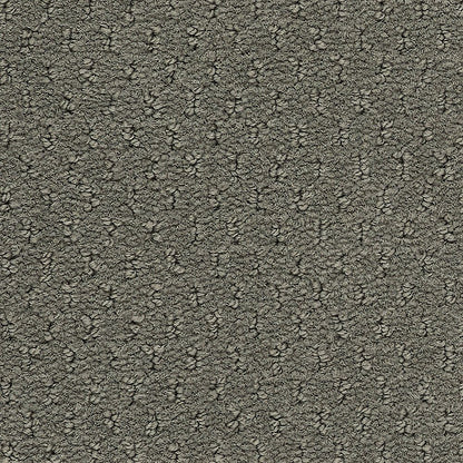 2b204-935-variant-room-scene