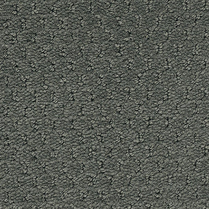 2b204-955-variant-room-scene