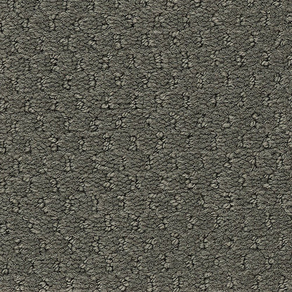 2b204-958-variant-room-scene