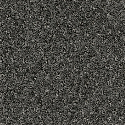 2b204-975-variant-room-scene