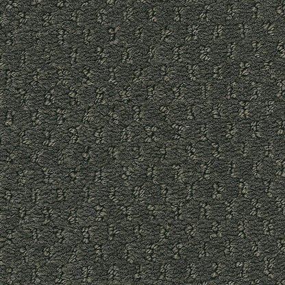2b204-978-variant-room-scene