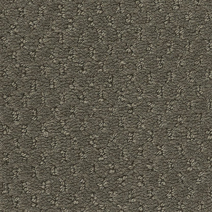 2b204-989-variant-room-scene