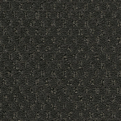2b204-998-variant-room-scene