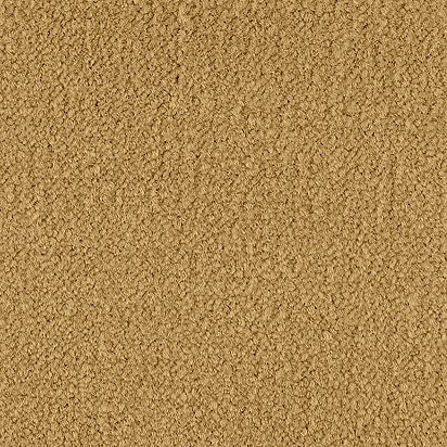 2b207-161-variant-room-scene