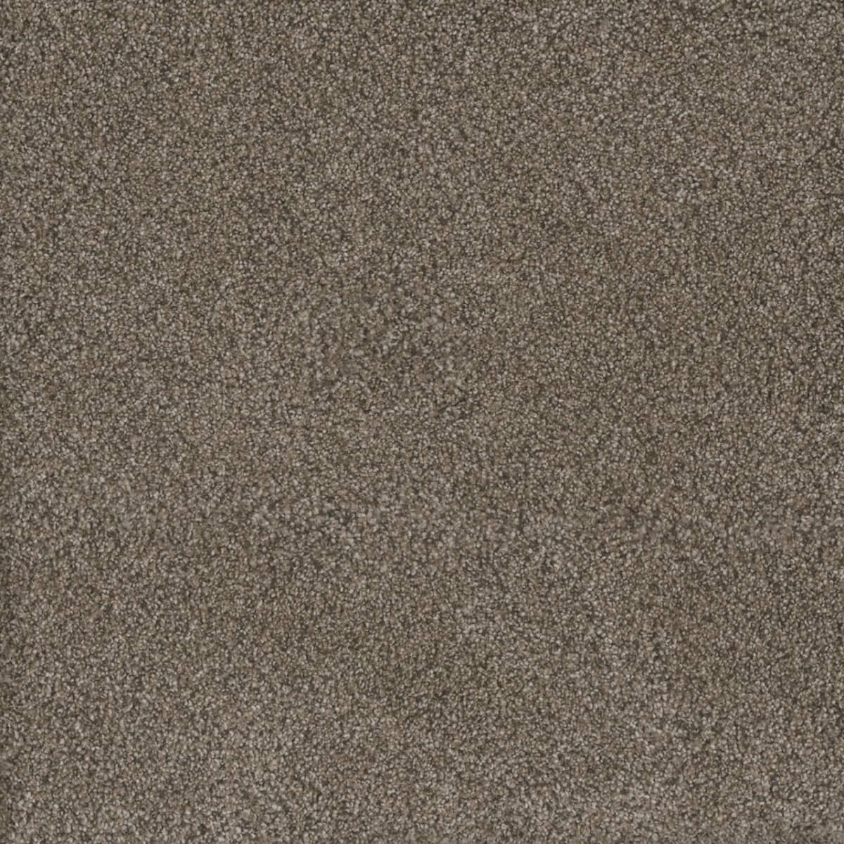 1-6200-6005-1200-a-variant-room-scene
